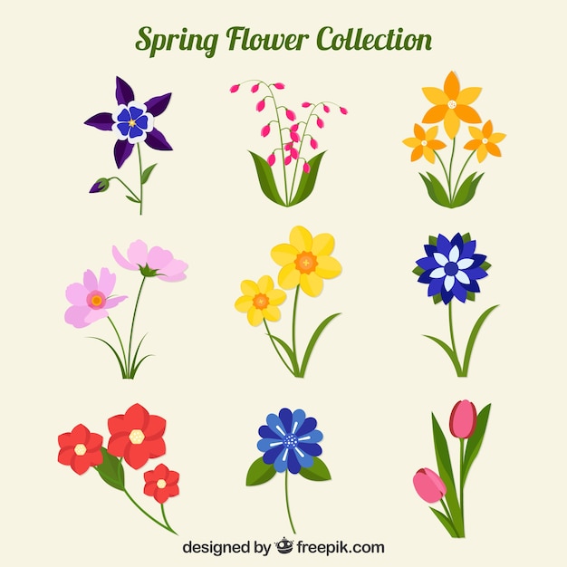 Gratis vector platte lente bloemen collectie