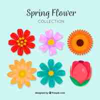 Gratis vector platte lente bloemen collectie