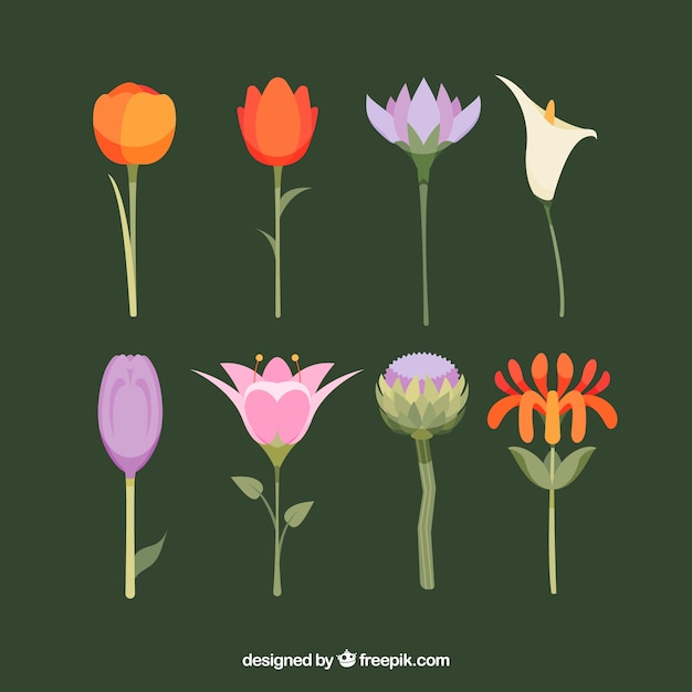 Gratis vector platte lente bloemen collectie