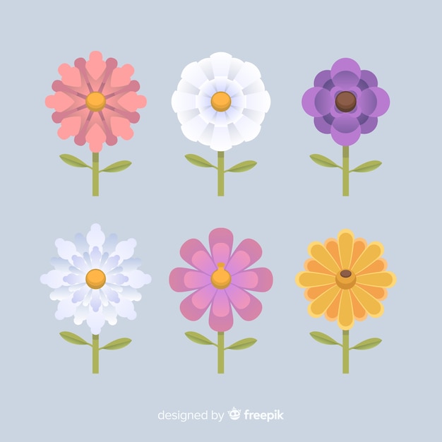 Platte lentebloemen pack