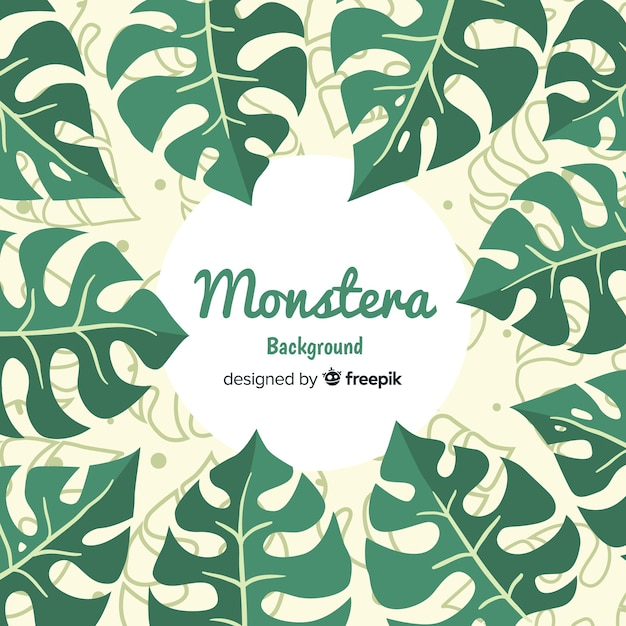 Platte monstera achtergrond