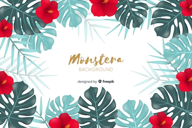 Platte monstera laat achtergrond