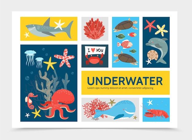 Platte onderwaterwereld infographic concept met vis haai dolfijn schildpad octopus krab kreeft walvis zeepaardje