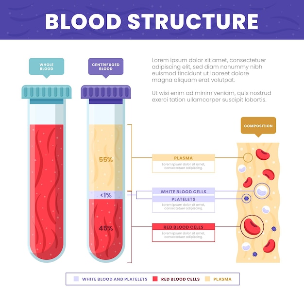 Gratis vector platte ontwerp bloed infographic geïllustreerd