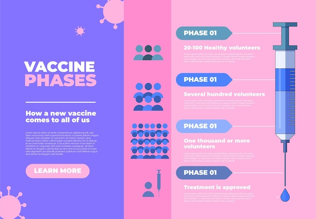 Platte ontwerp coronavirus vaccin fasen infographic