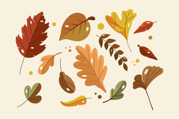 Platte ontwerp herfstbladeren set