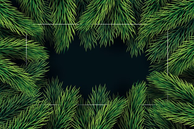 Platte ontwerp kerstboom takken achtergrond