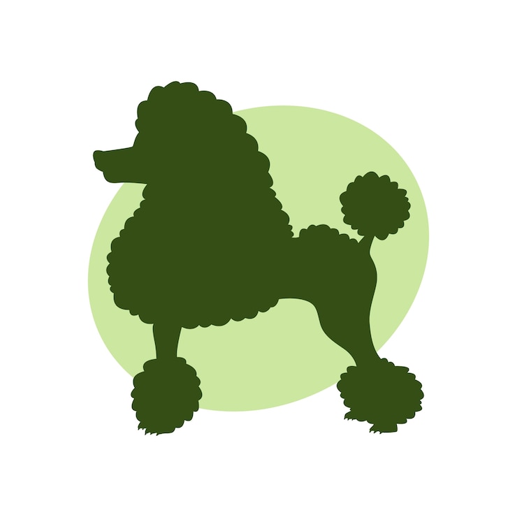 Gratis Vector platte ontwerp poedel silhouet illustratie