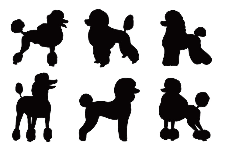 Gratis Vector platte ontwerp poedel silhouet set