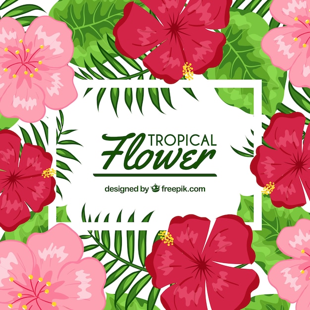 Gratis vector platte ontwerp tropische bloem achtergrond