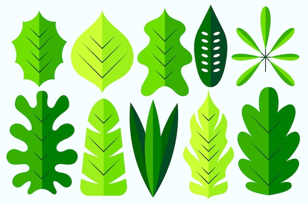 Platte ontwerp verschillende groene bladeren pack