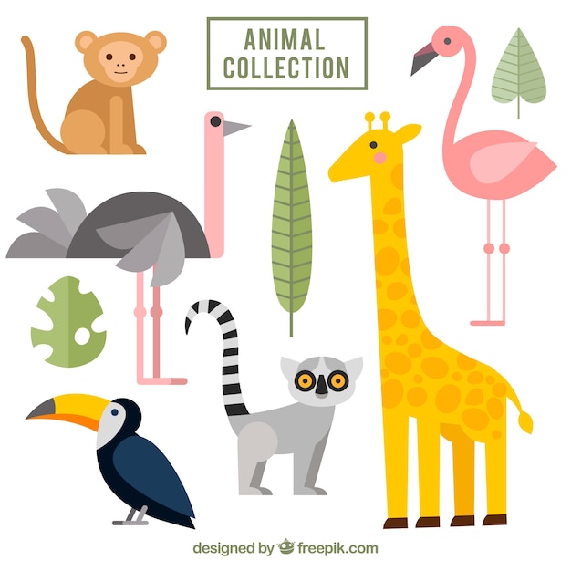 Gratis vector platte pak exotische dieren