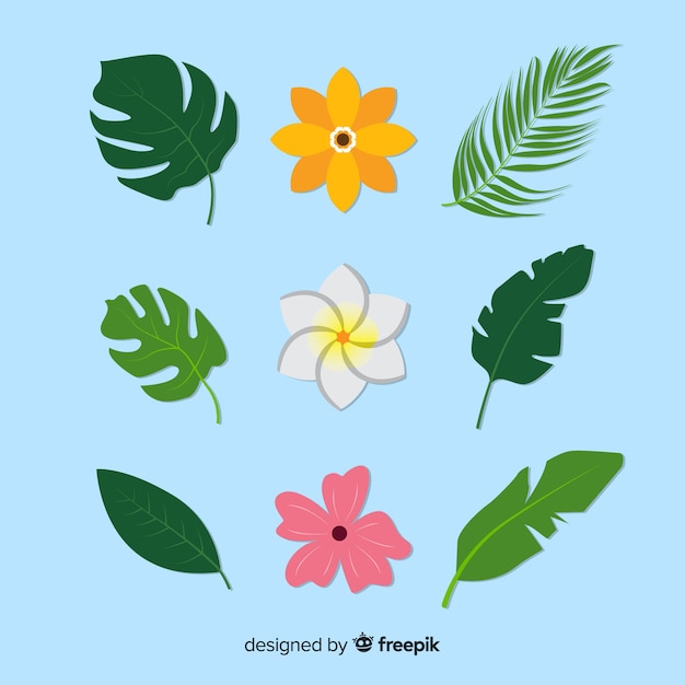 Gratis vector platte tropische planten instellen