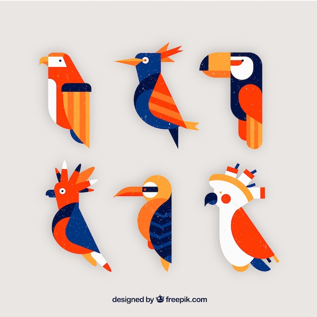 Gratis vector platte vogels collectie