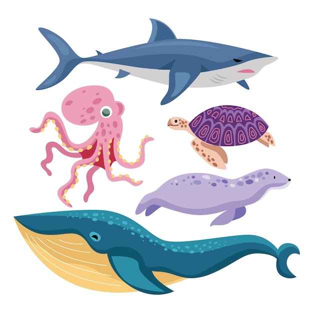 Platte zeedieren collectie