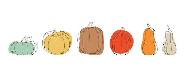 Pompoenset voor thanksgiving of halloween pompoenen in verschillende maten en kleuren