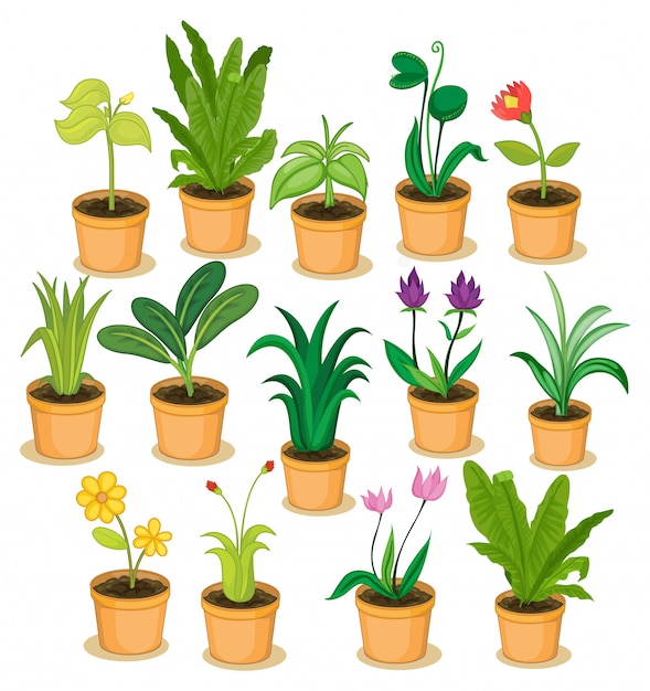 Gratis vector potplanten en bloemen illustratie