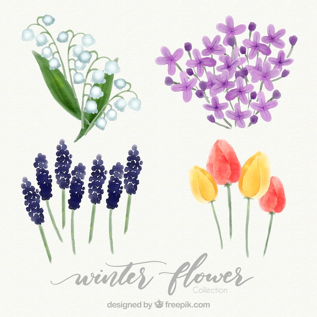 Gratis vector prachtige aquarel winterbloemen