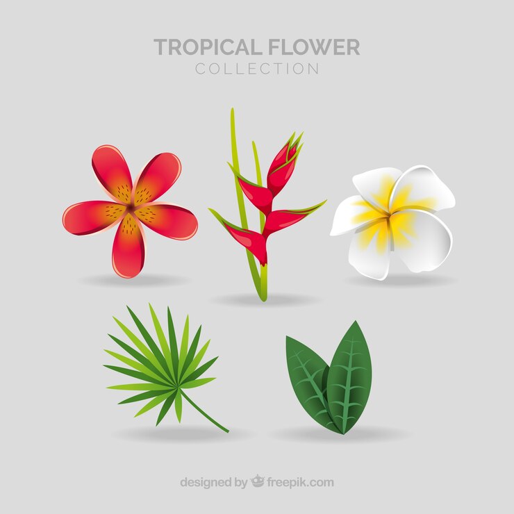 Gratis Vector prachtige tropische bloemen instellen