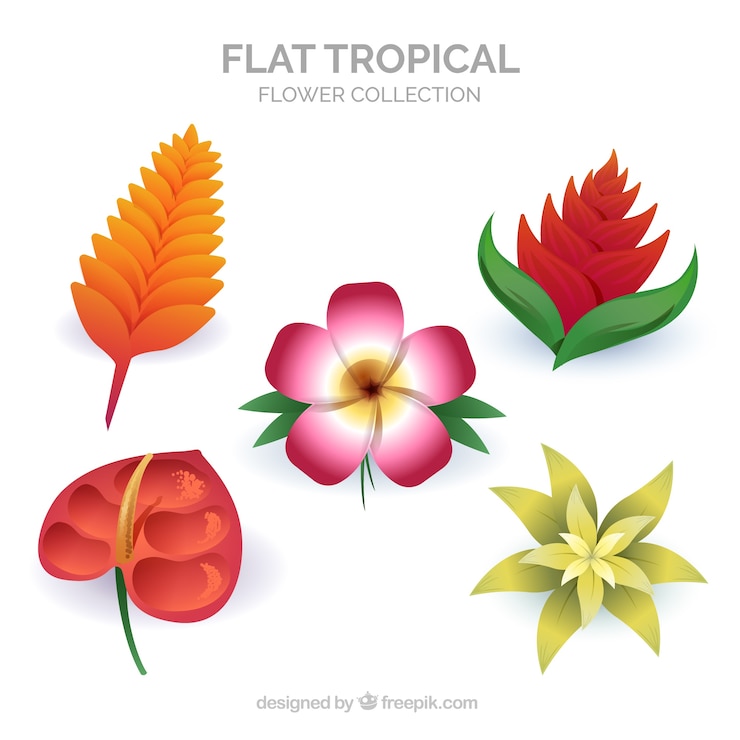 Gratis Vector prachtige tropische bloemen instellen