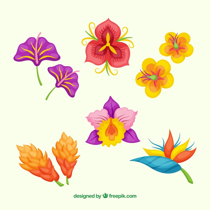 Gratis Vector prachtige tropische bloemen instellen