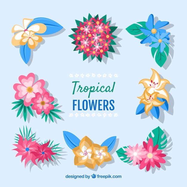 Prachtige tropische bloemen instellen