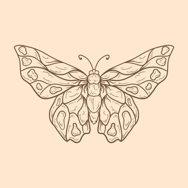 Prachtige vlinder schets illustratie