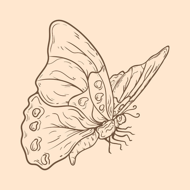 Prachtige vlinder schets illustratie