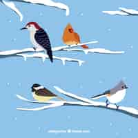 Gratis vector prachtige vogels op besneeuwde takken