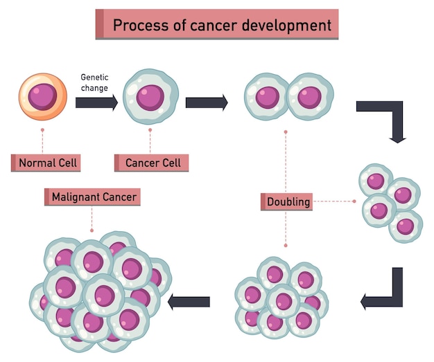 Proces van kankerontwikkeling infographic