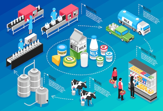 Productie leveren en verkopen van melk en kaasproducten isometrische infographics