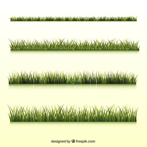 Realistisch gras grensinzameling