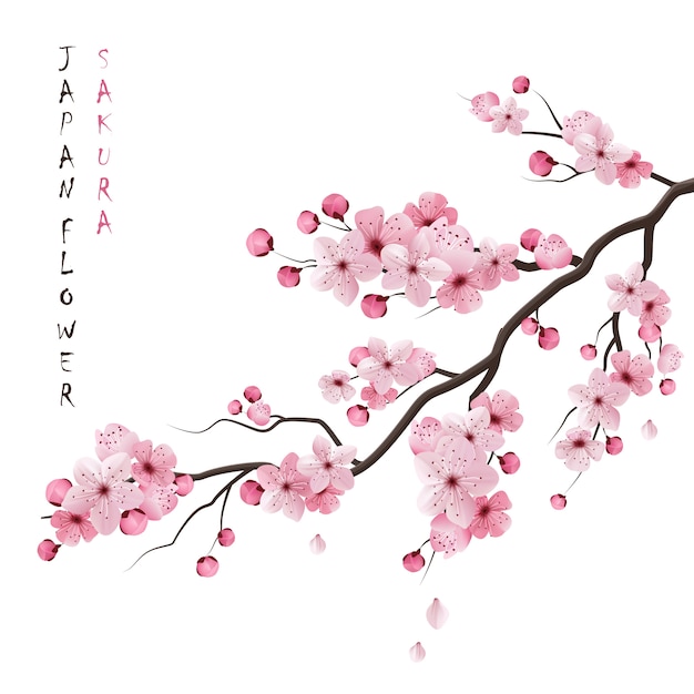 Realistisch Sakura Bijkantoor