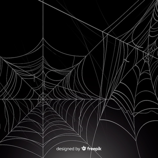 Realistisch spinneweb met gradiënt