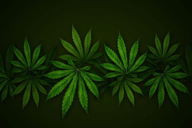 Gratis vector realistische cannabis blad achtergrond