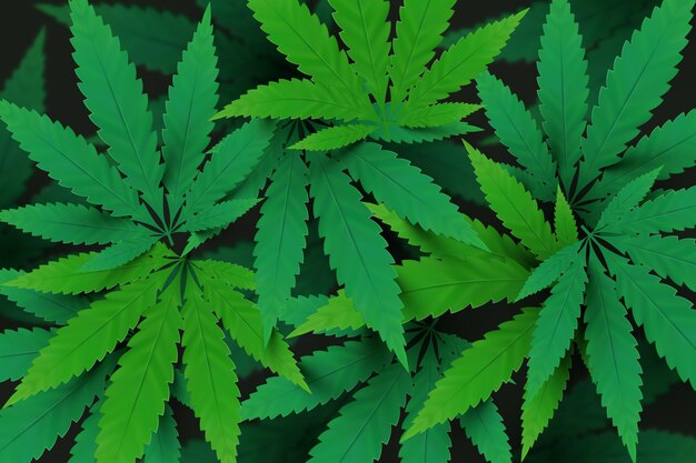 Realistische cannabis blad achtergrond