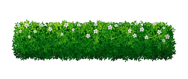 Gratis vector realistische groene struikhaag met witte bloemen vectorillustratie