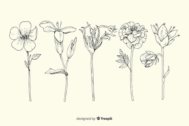 Realistische hand getekend vintage plantkunde bloem collectie