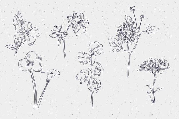 Realistische hand getekend vintage plantkunde bloem collectie