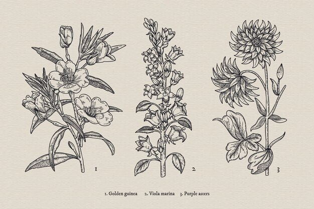 Realistische hand getekend vintage plantkunde bloem collectie