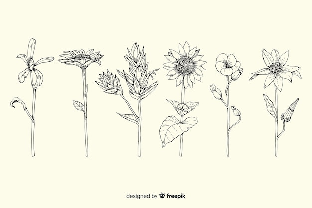 Realistische hand getekend vintage plantkunde bloem pack