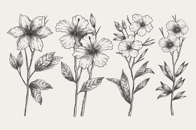 Realistische hand getekend vintage plantkunde bloem set