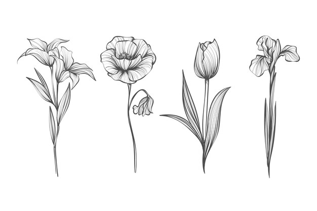 Realistische hand getekend vintage plantkunde bloem set