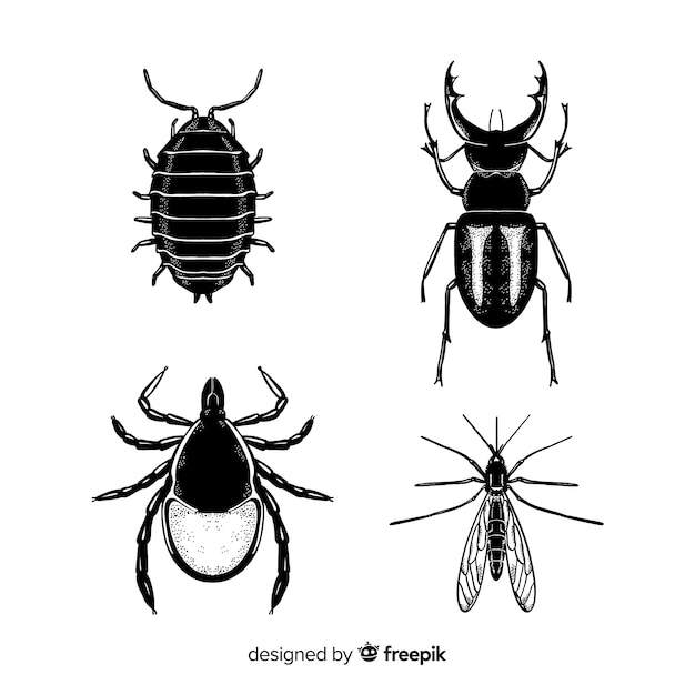 Gratis vector realistische hand getrokken insecten schets pack