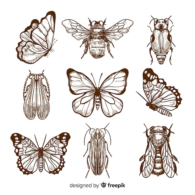 Gratis vector realistische hand getrokken insecten schets pack