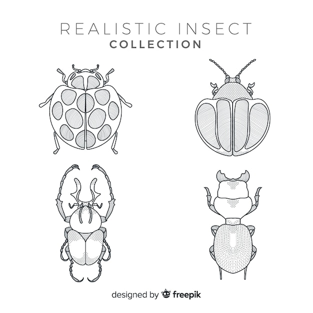 Gratis vector realistische hand getrokken insecten schets set