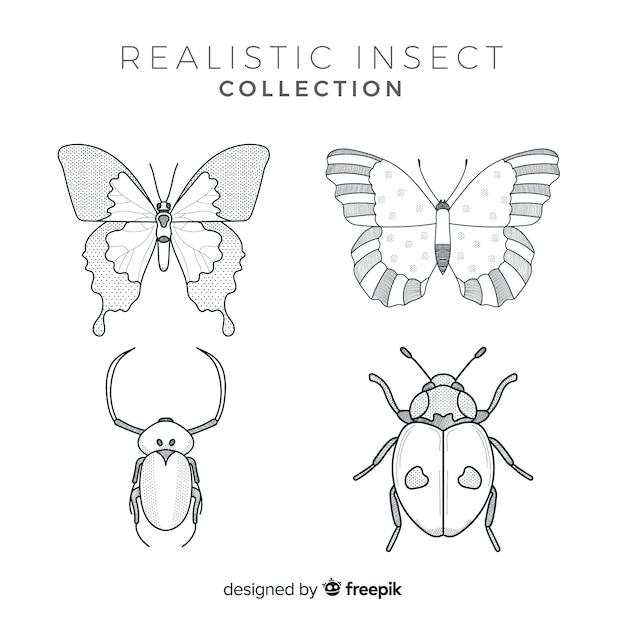 Gratis vector realistische hand getrokken insecten schets set