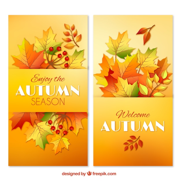 Realistische herfstbanners met warme kleuren