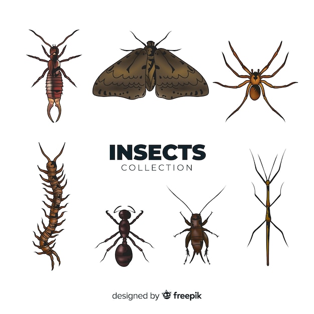 Realistische insectencollectie