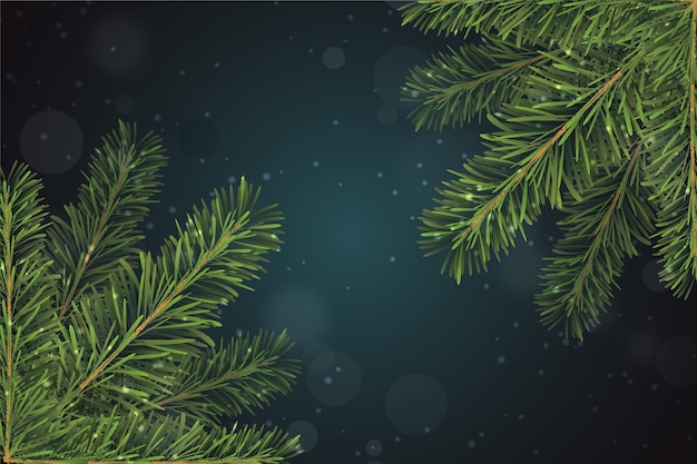 Gratis vector realistische kerstboom takken achtergrond